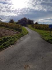 20161024_145157 (Small)